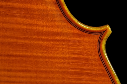 �o�C�I���� �}�W�R �C�^���A