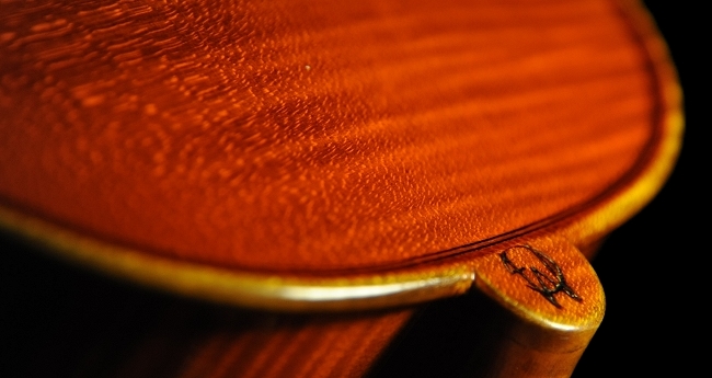 �o�C�I���� �}�W�R �C�^���A