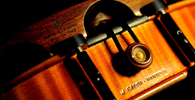 �o�C�I���� �}�W�R �C�^���A