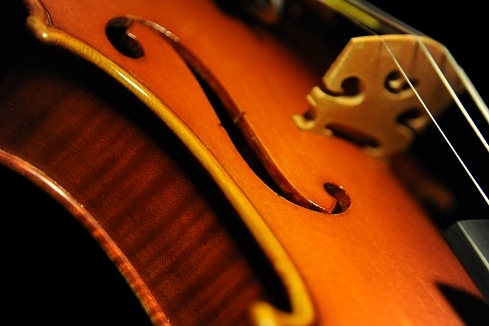 Gadda Violin MAGICO ITALY