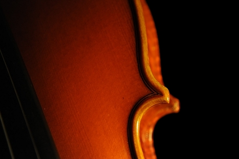 Gadda Violin MAGICO ITALY