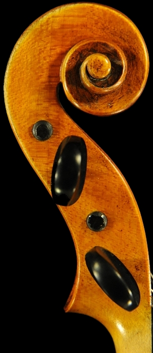 Dario Aguzzi Violin MAGICO �}�W�R