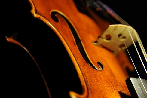 Dario Aguzzi Violin MAGICO �}�W�R