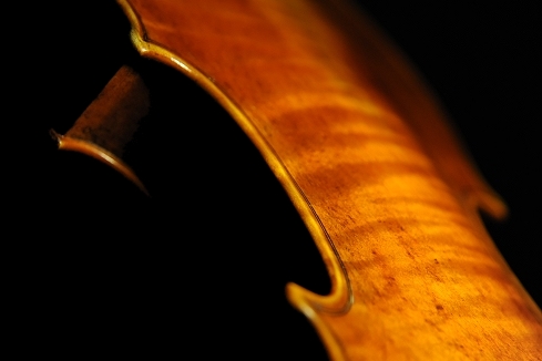 Dario Aguzzi Violin MAGICO �}�W�R