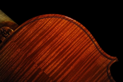 Gadda Mario Viola ITALY MAGICO