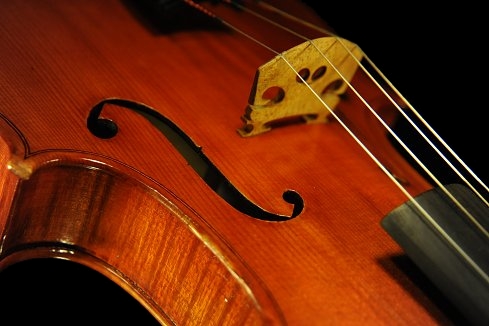 Gadda Viola ITALY MAGICO