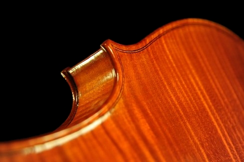 Gadda Viola ITALY MAGICO