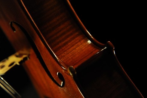 Gadda Viola ITALY MAGICO