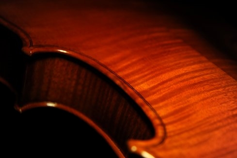 Gadda Viola ITALY MAGICO