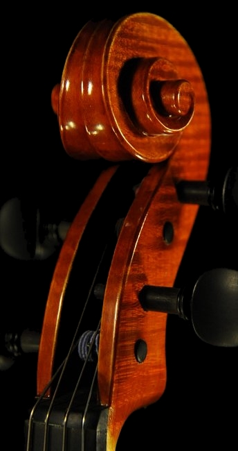 Gadda Mario Viola ITALY MAGICO