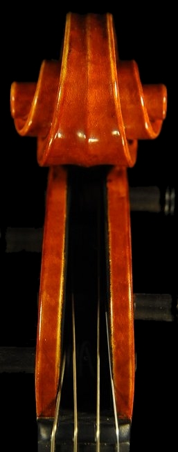 Gadda Mario Viola ITALY MAGICO