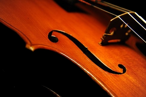 Gadda Mario Viola ITALY MAGICO