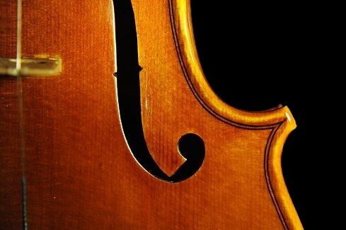 マジコ バイオリン コニア イタリア