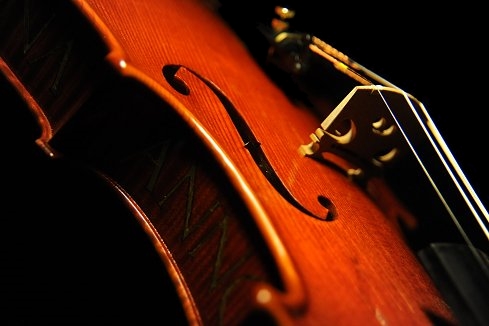 �o�C�I���� �g���u�b�L �}�W�R �N�����i �C�^���A