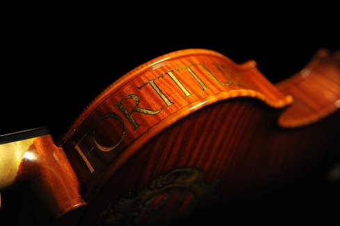 �o�C�I���� �g���u�b�L �}�W�R �N�����i �C�^���A