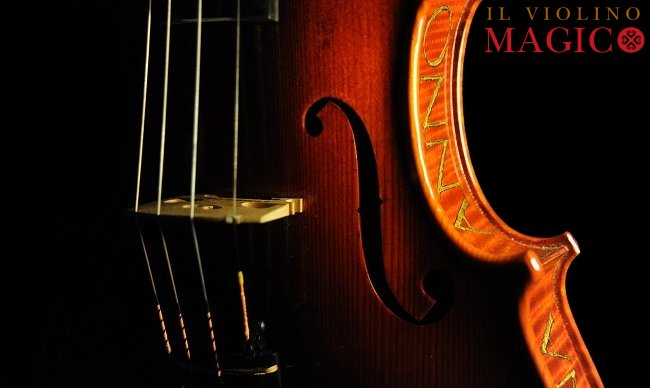 �o�C�I���� �g���u�b�L �}�W�R �N�����i �C�^���A