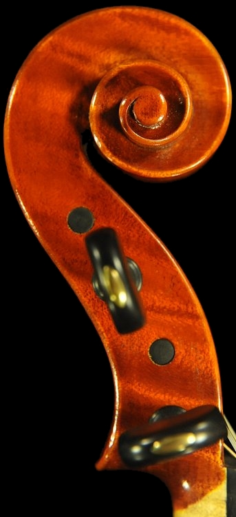 �o�C�I���� �g���u�b�L �}�W�R �N�����i �C�^���A