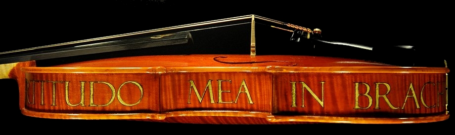 �o�C�I���� �g���u�b�L �N�����i �C�^���A