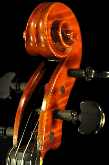 �o�C�I���� �g���u�b�L �}�W�R �N�����i �C�^���A