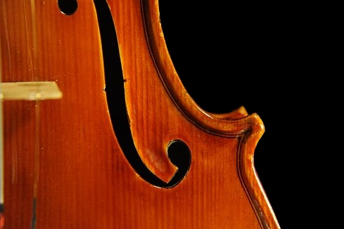 モダンイタリー Gaibisso Violin MAGICO