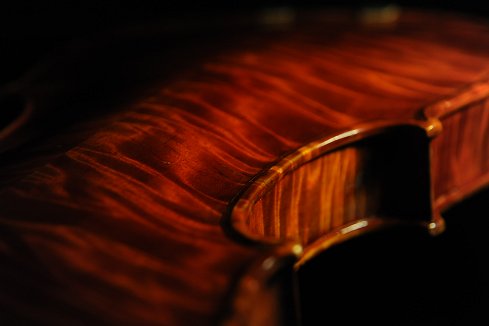 ���_���C�^���[ Gaibisso Violin MAGICO