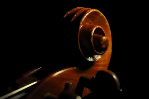 ���_���C�^���[ Gaibisso Violin MAGICO