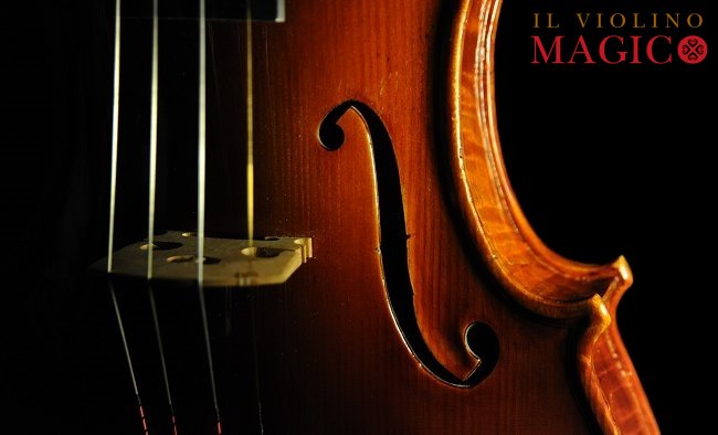 �}�W�R �K�C�r�b�\ �R���T�[�g�o�C�I���� �C�^���A