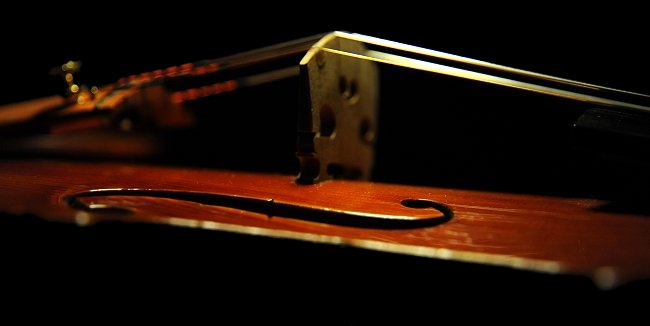 モダンイタリー Gaibisso Concert Violin MAGICO