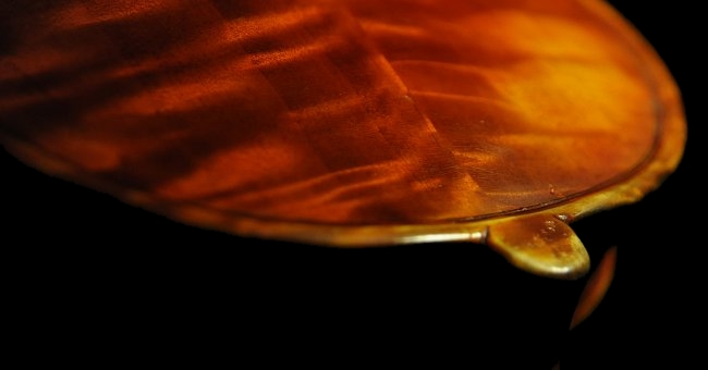 �}�W�R �K�C�r�b�\ �R���T�[�g�o�C�I���� �C�^���A