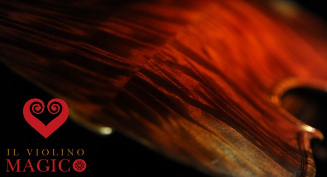 ���_���C�^���[ Gaibisso Concert Violin MAGICO