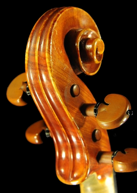 Gaibisso Violin MAGICO TOKYO