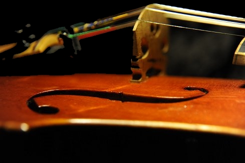 5���r�I�� Di Biagio Violin �C�^���A MAGICO