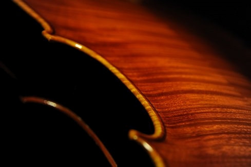 5���r�I�� Di Biagio Violin �C�^���A MAGICO