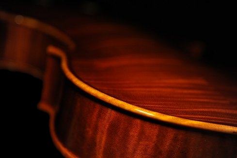 5���r�I�� Di Biagio Violin �C�^���A MAGICO