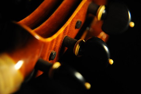 5弦ビオラ Di Biagio Violin イタリア MAGICO