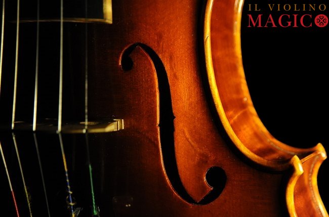 5弦ビオラ Di Biagio Violin イタリア MAGICO
