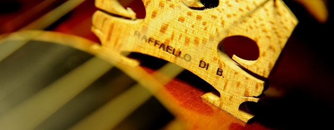 5���r�I�� Di Biagio Violin �C�^���A MAGICO