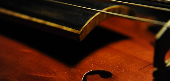 5���r�I�� Di Biagio Violin �C�^���A MAGICO