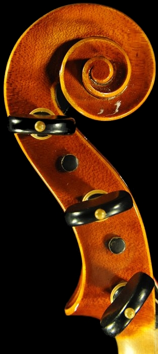 �f�B�r�A�b�W�� �T�� �r�I�� �}�W�R