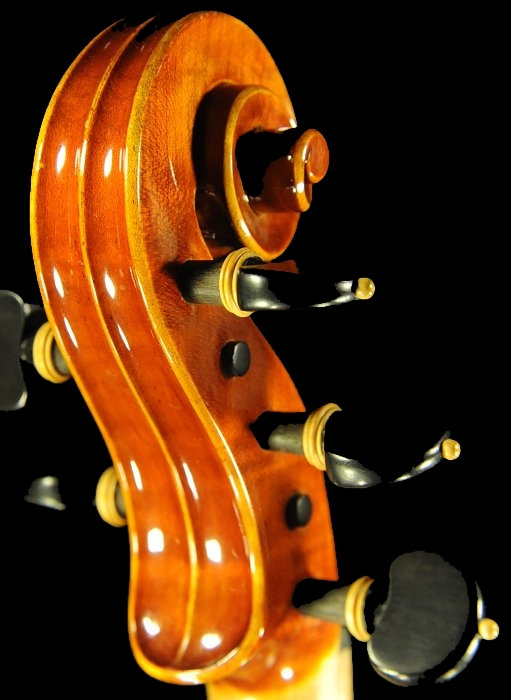 �f�B�r�A�b�W�� �T�� �r�I�� �}�W�R