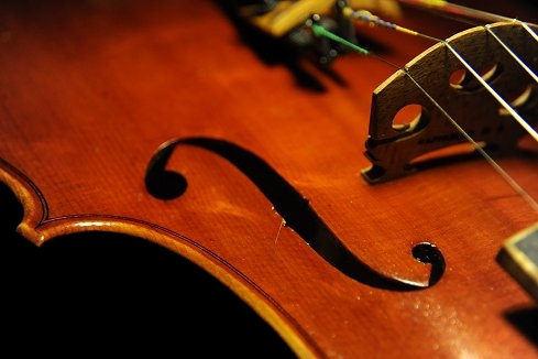 Di Biagio Violin イタリア MAGICO