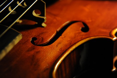 �f�B�r�A�b�W�� �T�� �r�I�� �}�W�R