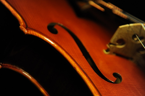 Bissolotti Violin �C�^���A MAGICO