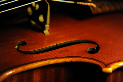 Bissolotti �o�C�I���� MAGICO