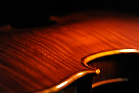 Bissolotti �o�C�I���� MAGICO