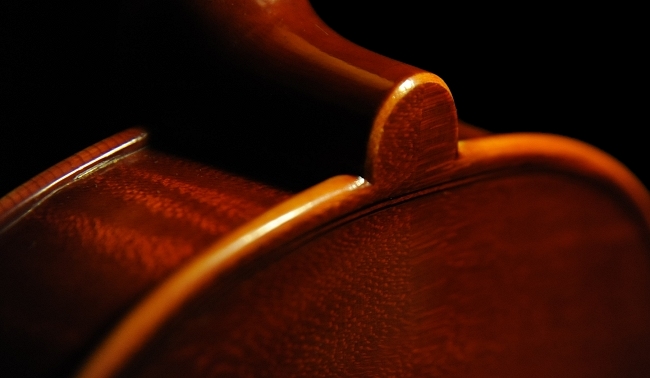 Bissolotti Francesco