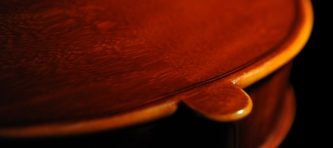 �t�����`�F�X�R �r�\���b�e�B