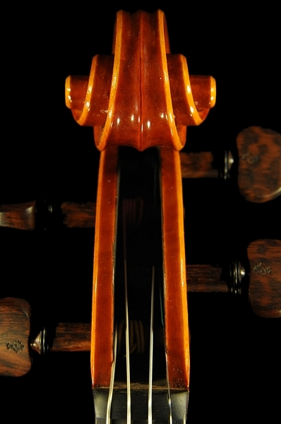 �o�C�I���� �r�\���b�e�B �C�^���A �}�W�R