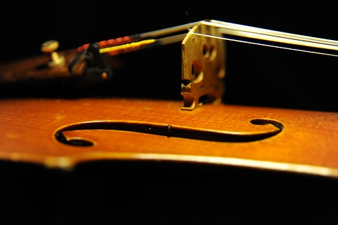 �J�y�� �|���g�K�� �}�W�R