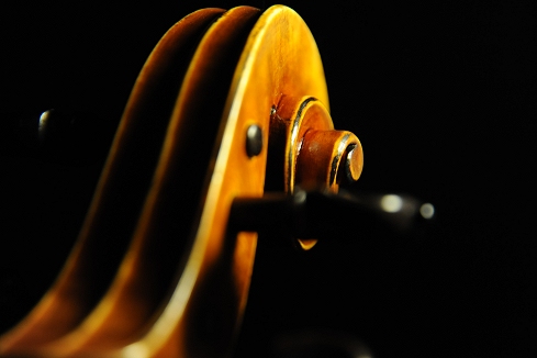 �J�y�� �|���g�K�� �}�W�R